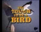 It's Tough to Be a Bird, by Ward Kimball (1969)