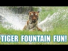 Tiger Fountain Fun!