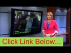 liveleak Breaking News 3 Animals get 9 months probation - Funny animals,Funny dogs, Funny cats -Very