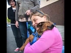 CAPTAIN MORGAN : Rescue dog reunited with the woman who saved his life goes viral
