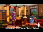 The Sims Cheat Codes