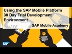 3. Using the SMP 30 Day Trial Development Environment