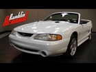 1998 Ford Mustang SVT Cobra Convertible 4.6 DOHC V8 Five-speed